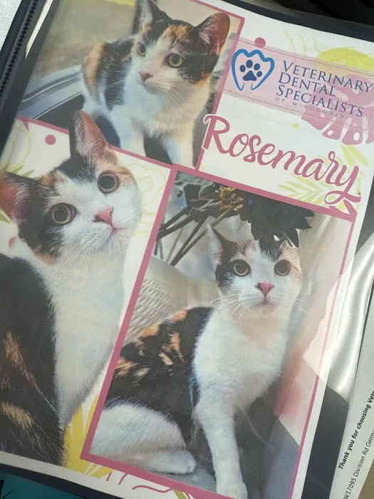 Veterinary Dental Specialists of Wisconsin Picture 4