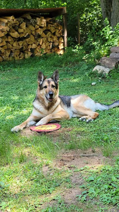 Veterinary Dental Specialists of Wisconsin Picture 9