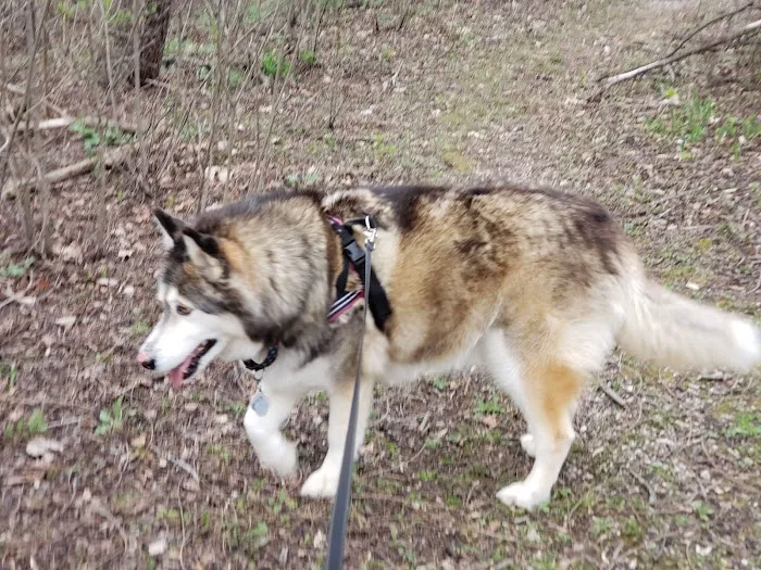 Menomonee Falls Animal Hospital Picture 1