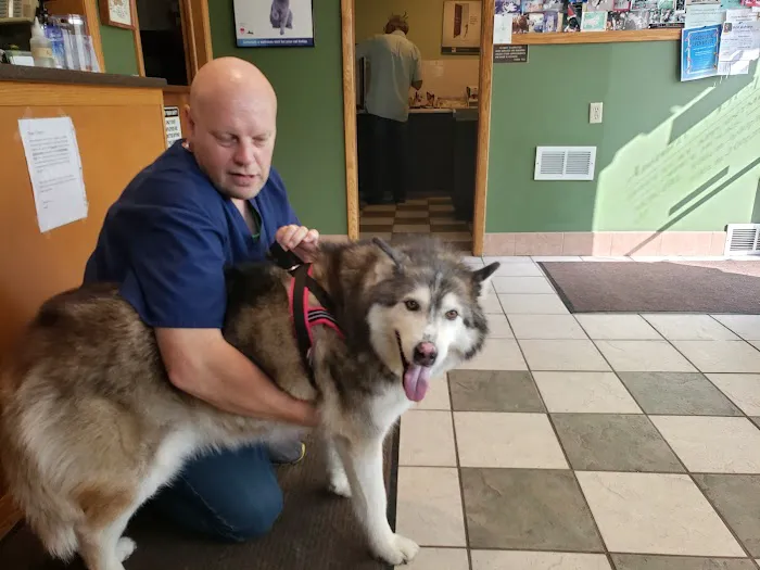 Menomonee Falls Animal Hospital Picture 2