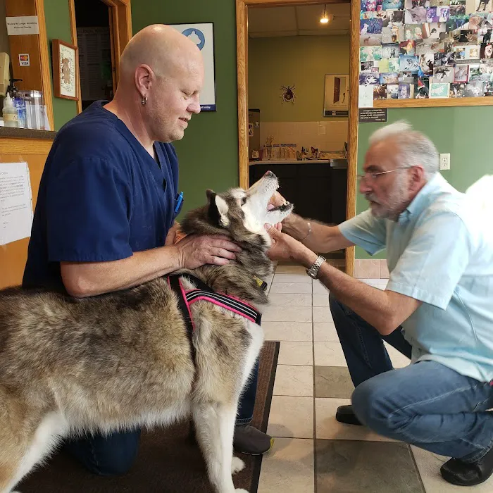 Menomonee Falls Animal Hospital Picture 5