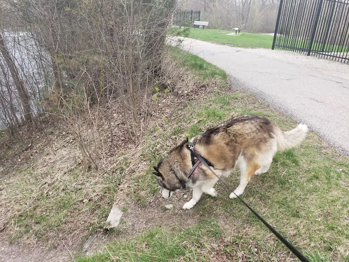 Menomonee Falls Animal Hospital Picture 9