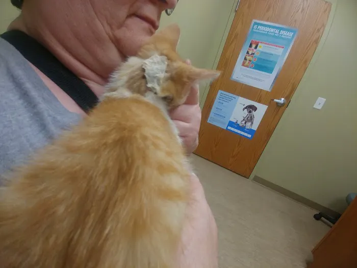 Healthy Paws Animal Clinic Picture 1