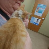 Healthy Paws Animal Clinic ico