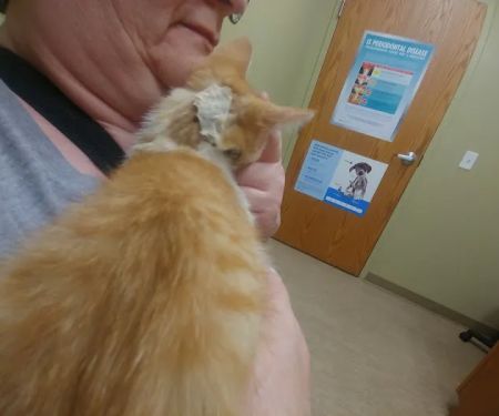 Healthy Paws Animal Clinic