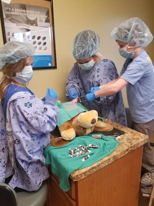 Healthy Paws Animal Clinic Picture 4