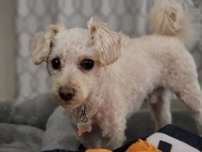 Family Pet Clinic Picture 5