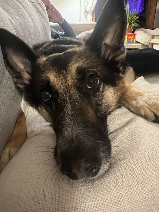 Family Pet Clinic Picture 4