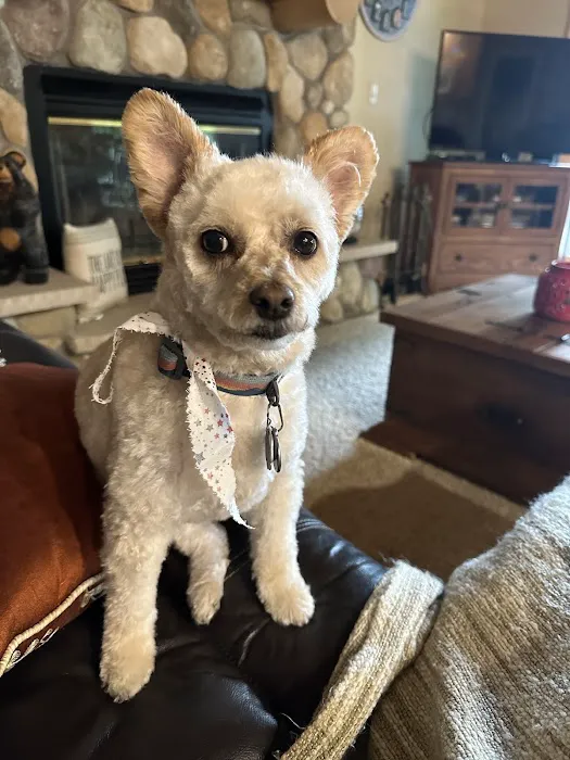 Family Pet Clinic Picture 1