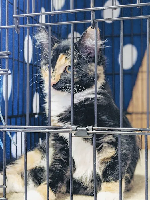 Family Pet Clinic Picture 2