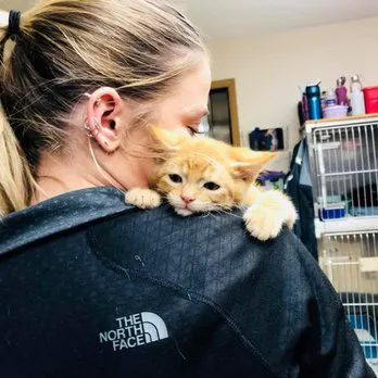 Family Pet Clinic Picture 3