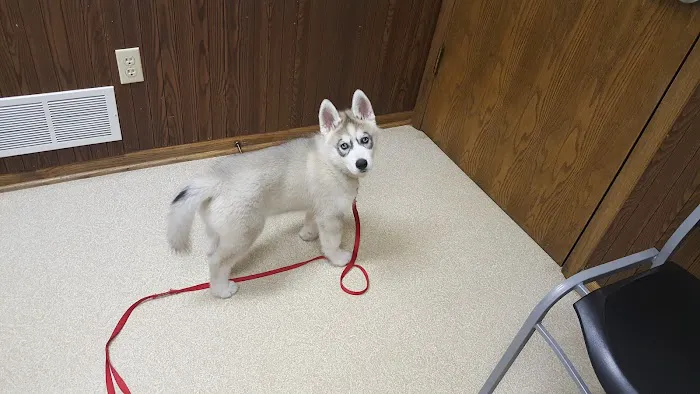 Family Pet Clinic Picture 10