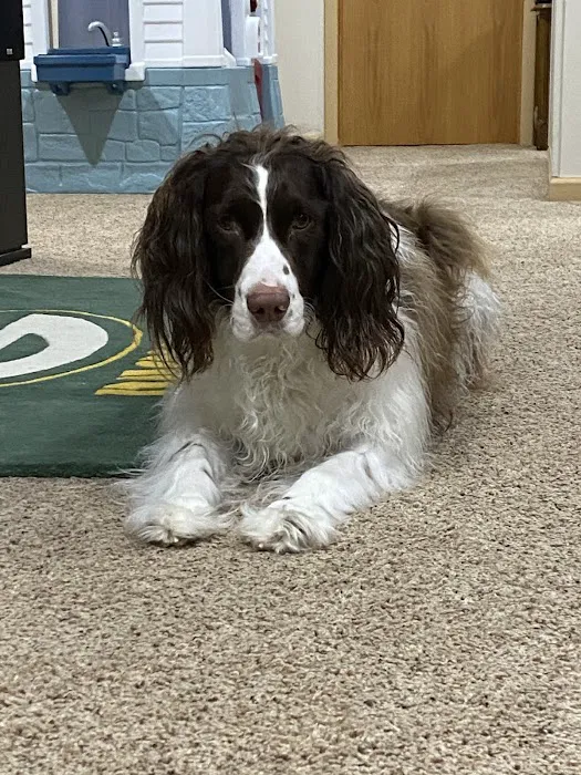 Family Pet Clinic Picture 8