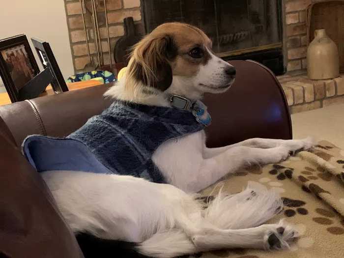 Family Pet Clinic Picture 7