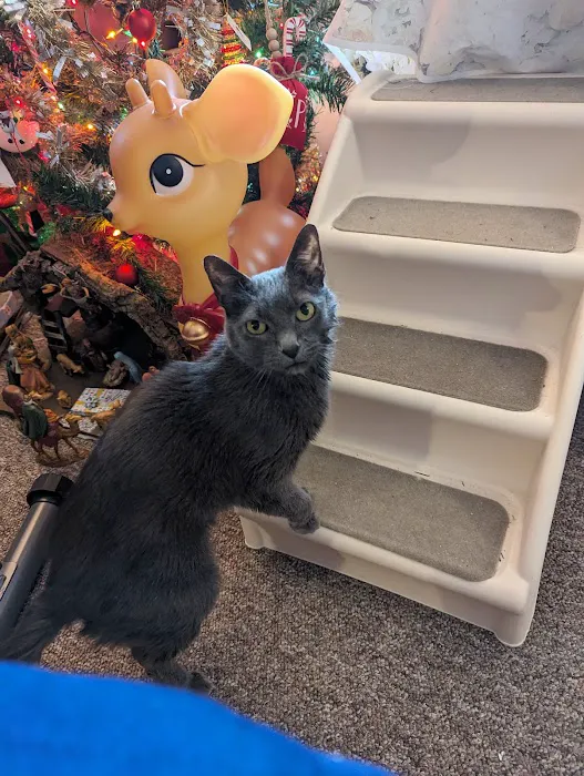 Schmidt Veterinary Clinic Picture 2