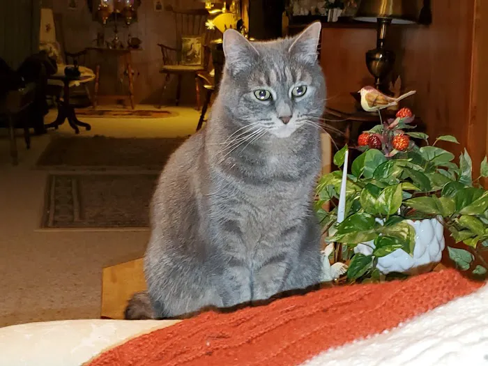 Cedarburg Veterinary Clinic Picture 2