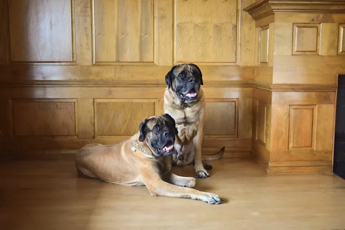 Cedarburg Veterinary Clinic Picture 3