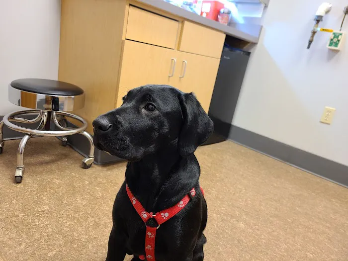 Cedarburg Veterinary Clinic Picture 1