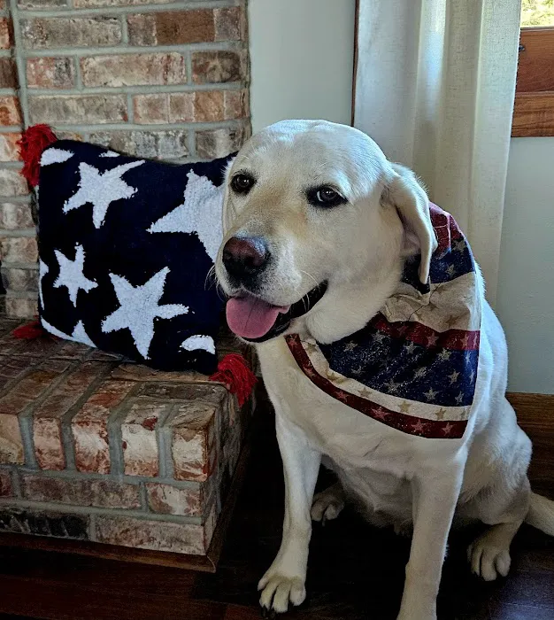 Cedarburg Veterinary Clinic Picture 6