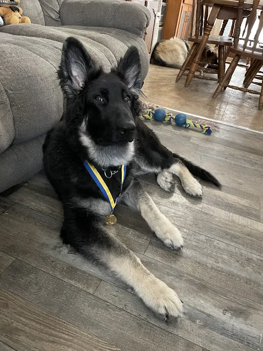 Cedarburg Veterinary Clinic Picture 8