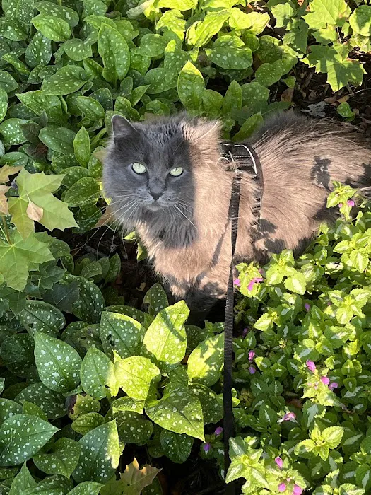 Cedarburg Veterinary Clinic Picture 7