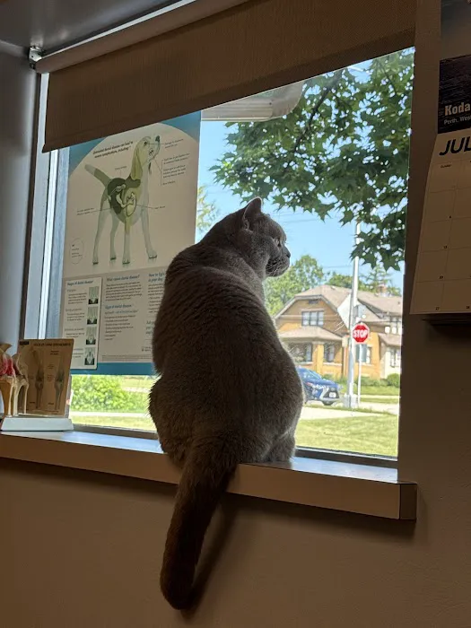 Cedarburg Veterinary Clinic Picture 9