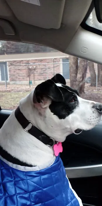 Heaton Heistand Vet Hospital Picture 6