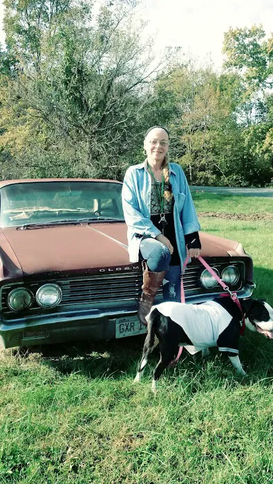 Heaton Heistand Vet Hospital Picture 5