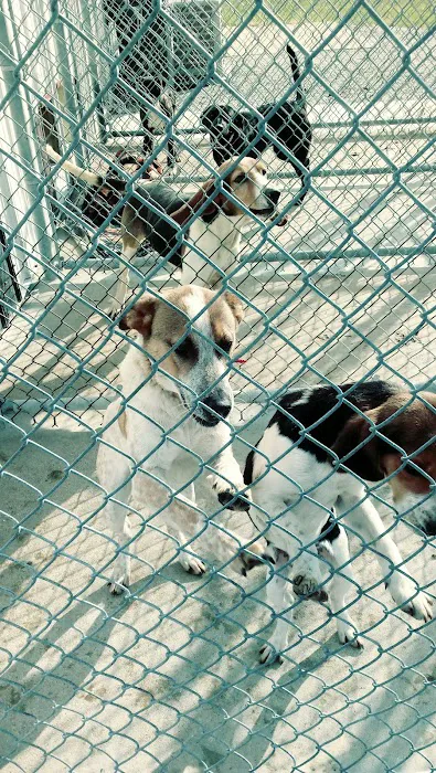 Heaton Heistand Vet Hospital Picture 9