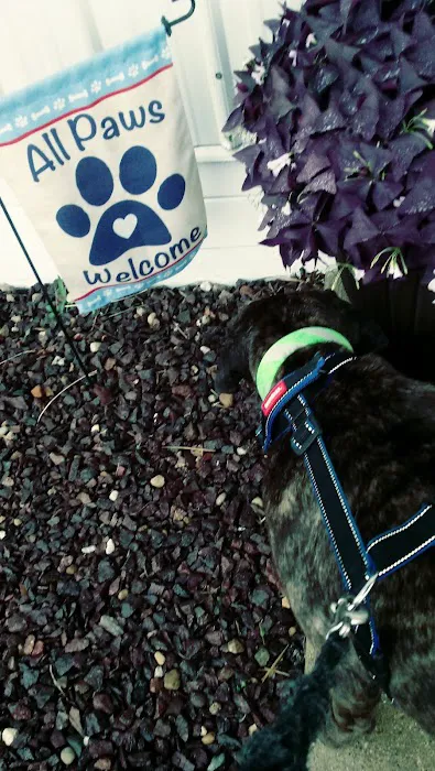 Heaton Heistand Vet Hospital Picture 10