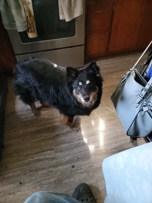 Carlyle Animal Hospital Picture 2