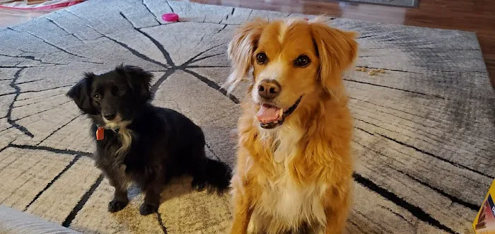 Carlyle Animal Hospital Picture 1