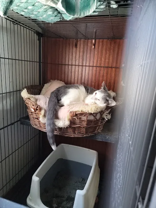 Carlyle Animal Hospital Picture 3