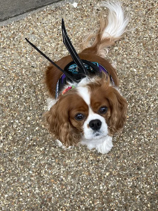 Carlyle Animal Hospital Picture 7