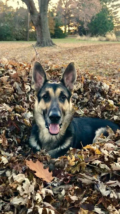 Carlyle Animal Hospital Picture 6