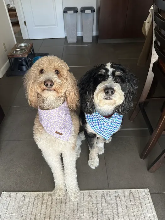 Carlyle Animal Hospital Picture 8