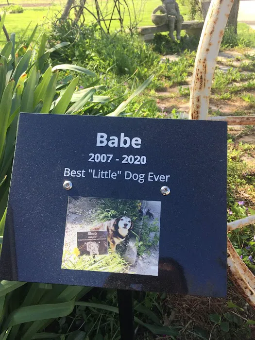 Veterinary Services, Ltd Picture 6