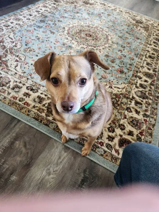 Veterinary Services, Ltd Picture 5