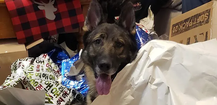 Veterinary Services, Ltd Picture 3