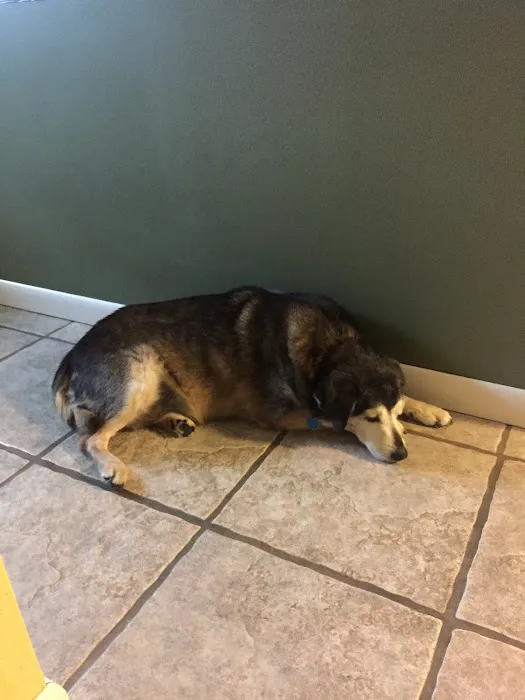 Veterinary Services, Ltd Picture 4