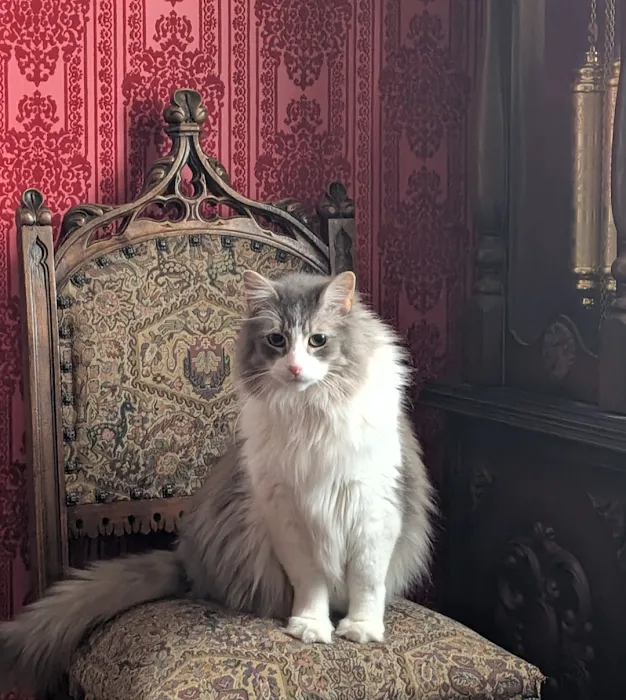 Animal Hospital of O'Fallon Picture 8