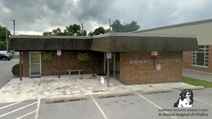 Animal Hospital of O'Fallon Picture 10