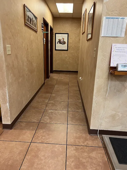 Horseshoe Lake Animal Hospital, A Thrive Pet Healthcare Partner Picture 8