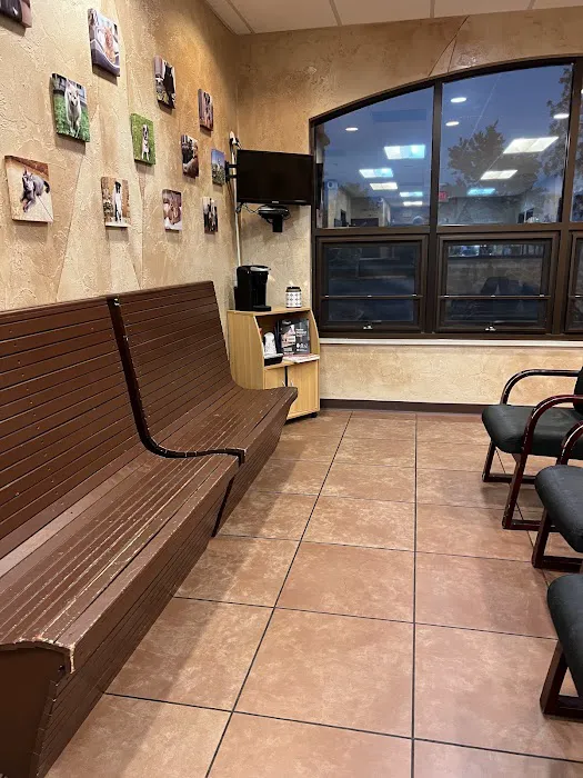 Horseshoe Lake Animal Hospital, A Thrive Pet Healthcare Partner Picture 7