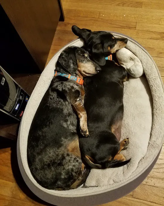 Davis Pet Hospital Picture 3