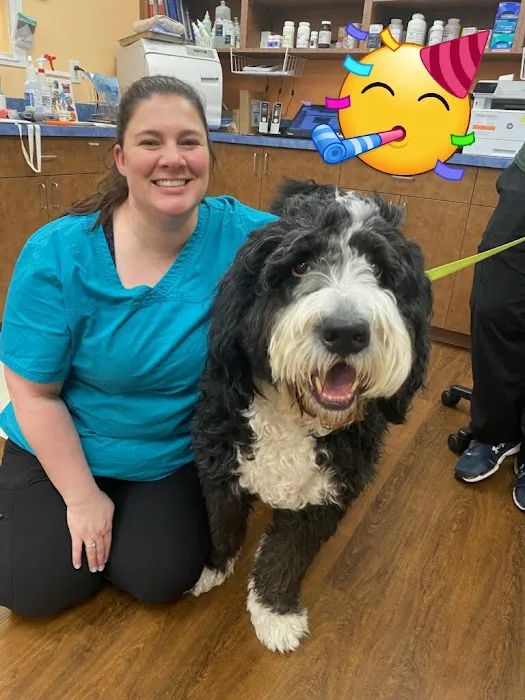 Davis Pet Hospital Picture 5