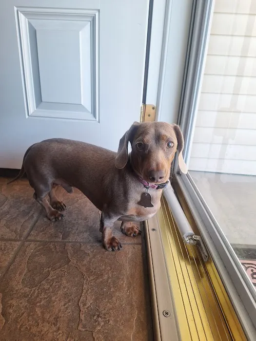 Animal Emergency Center Picture 8