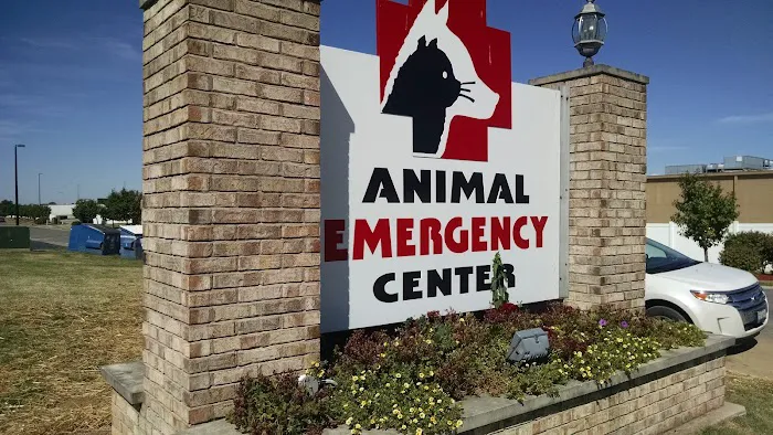 Animal Emergency Center Picture 5