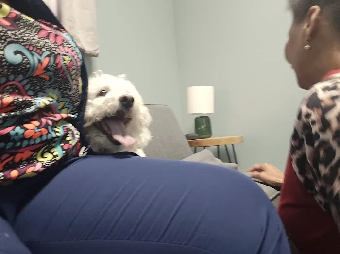 Animal Emergency Center Picture 6