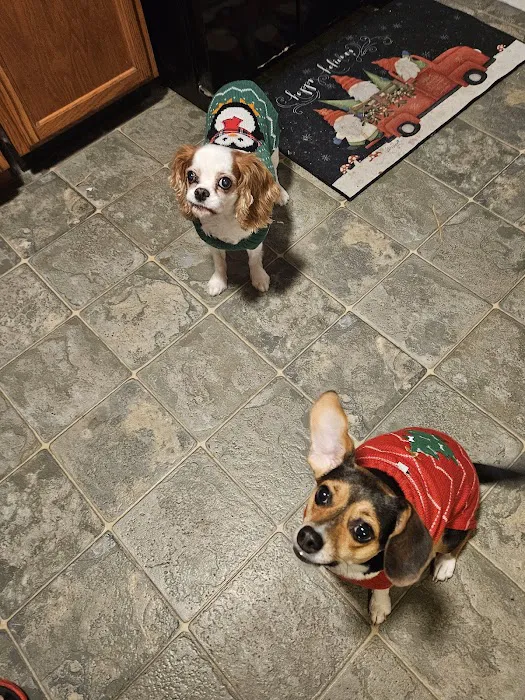 Bellemore Animal Hospital Picture 2